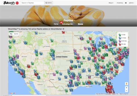 morphmarket|morph market map.